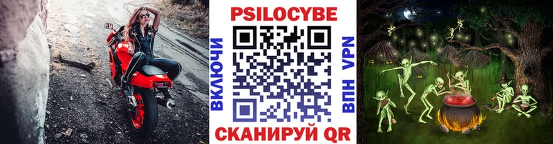 где купить наркоту  Кущёвская  Псилоцибиновые грибы MAGIC MUSHROOMS 